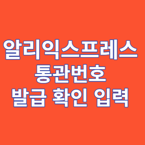 알리익스프레스 통관번호 발급 확인 입력 썸네일