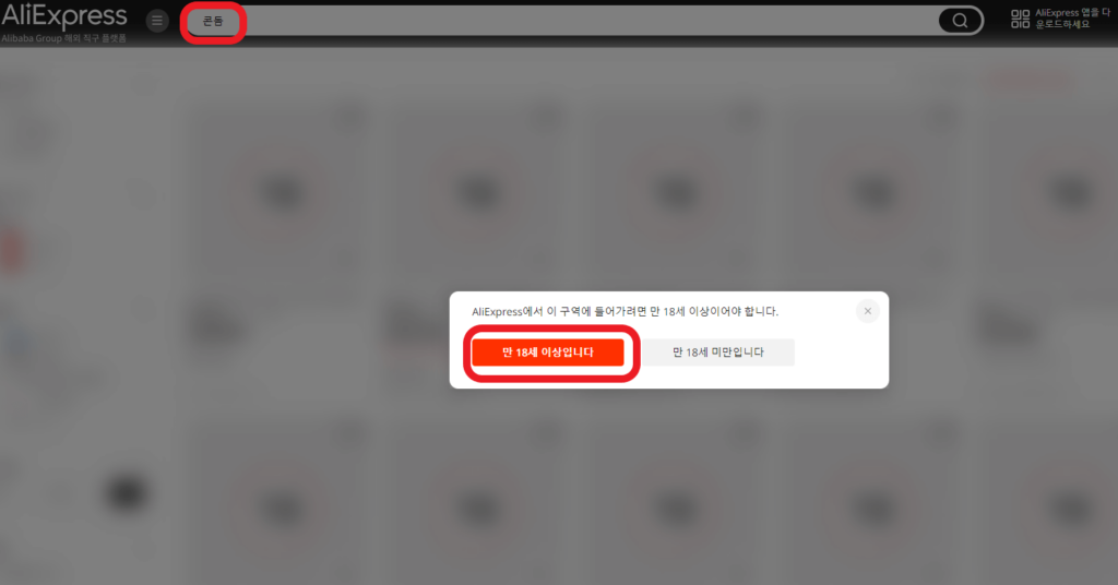 알리익스프레스 PC 성인 인증 예시